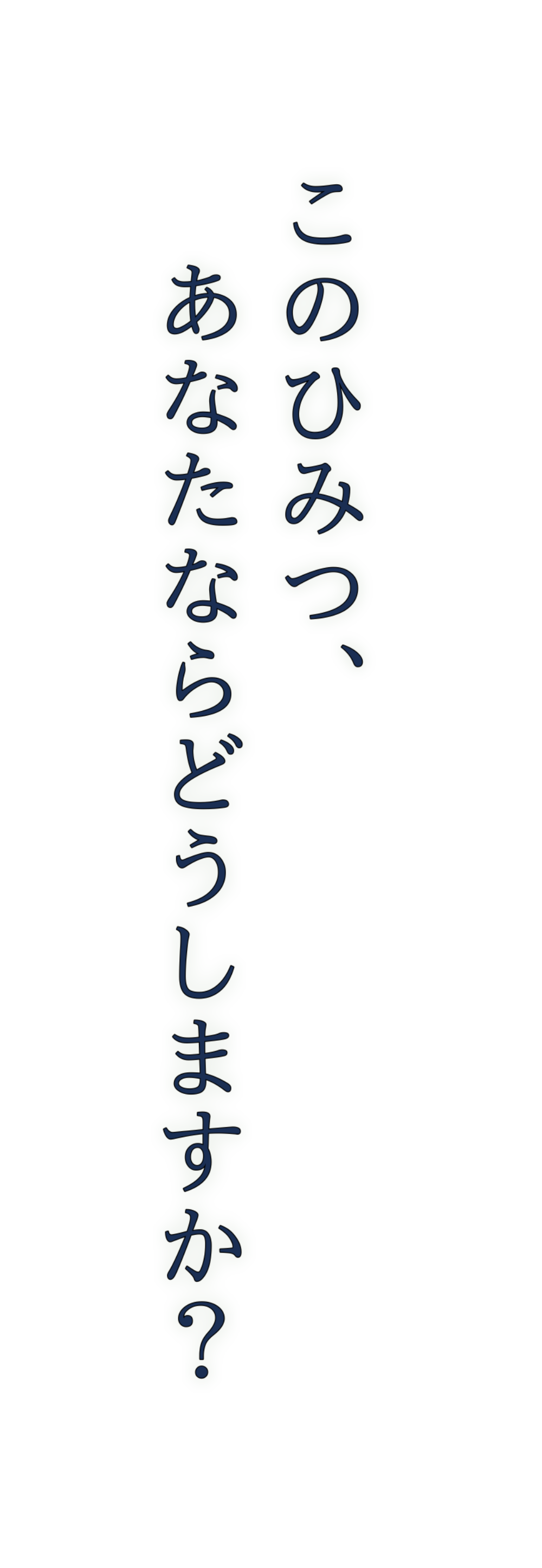 キャッチコピー